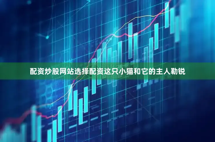 配资炒股网站选择配资这只小猫和它的主人勒锐