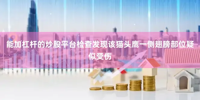 能加杠杆的炒股平台检查发现该猫头鹰一侧翅膀部位疑似受伤