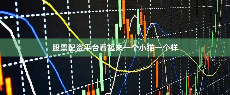 股票配资平台看起来一个小猫一个样